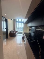 Irwell Hill Residences (D9), Apartment #619046281